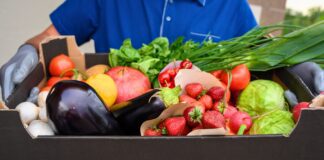 banco de alimentos vegano - caixa de frutas e legumes
