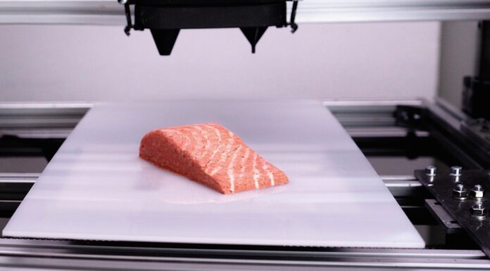 salmão vegano impresso em 3D