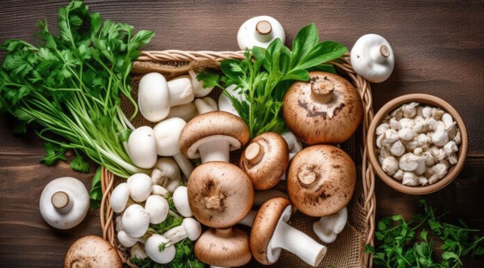 cesta de cogumelos e ervas