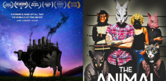 cartazes dos filmes Milked e The Animal People